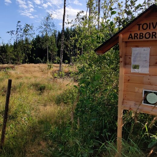 arboretum_nuori