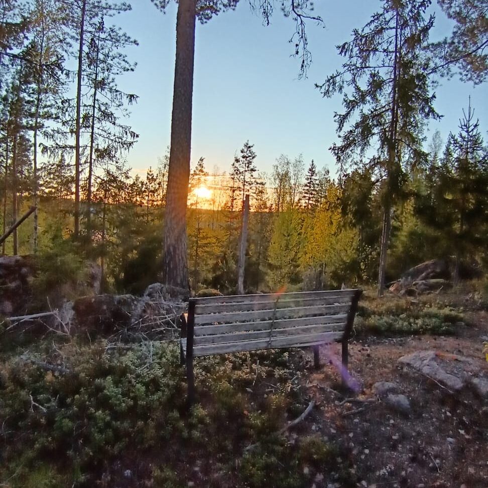 penkkimaisema